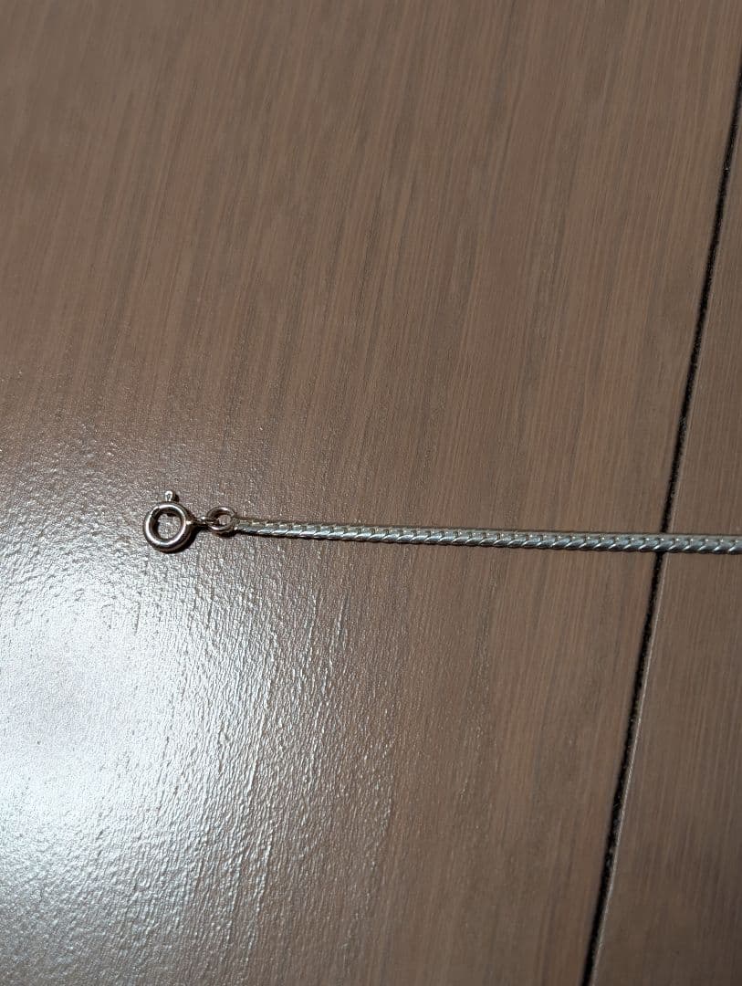 メンズコーチジョージブランド differentの53センチシルバーネックレス