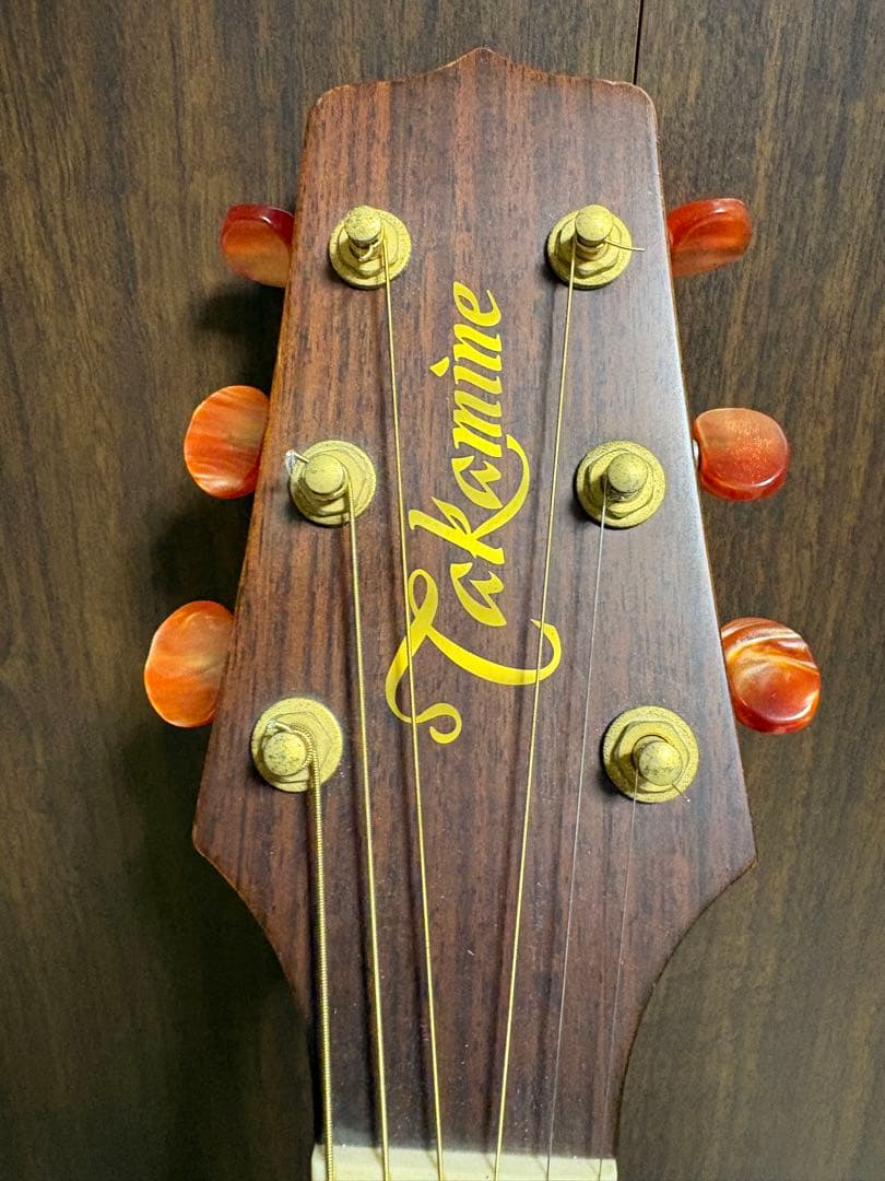 タカミネ　アコースティックギター　NPT-012BS