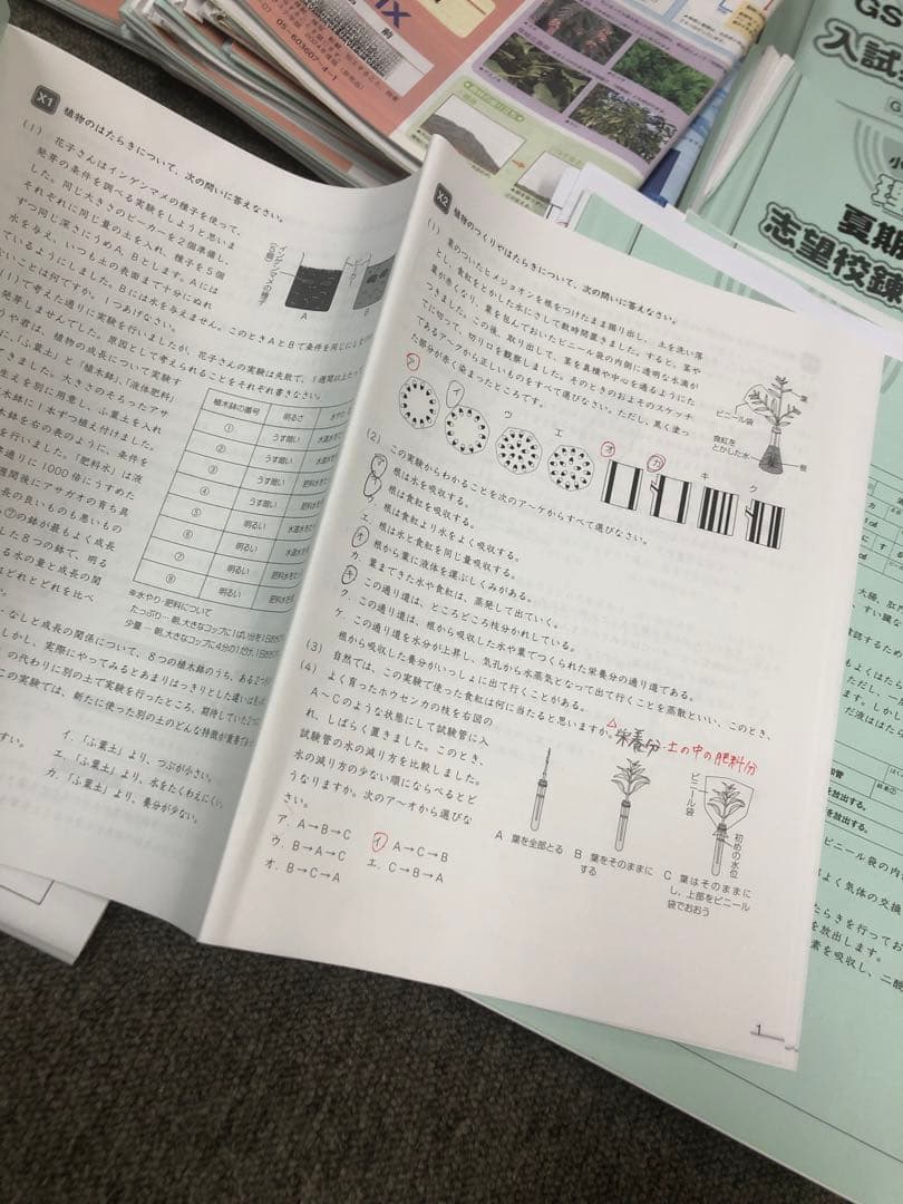 サピックス６年理科　デイリー/夏期集中/春夏/土特 /日特　中古　２０２５年受験