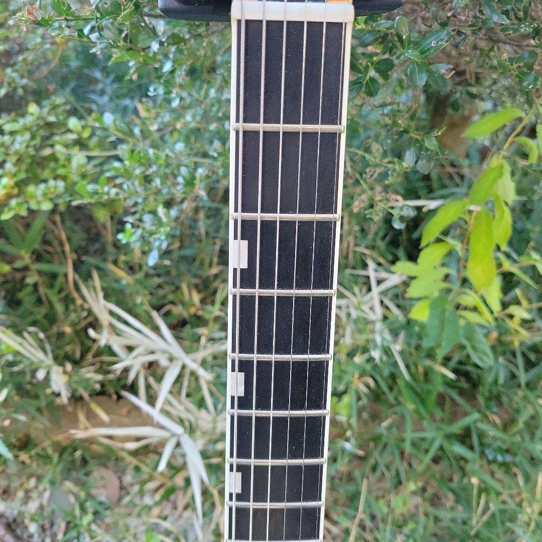 E-II Horizon NT-II グラデーションレッドオレンジ 6弦