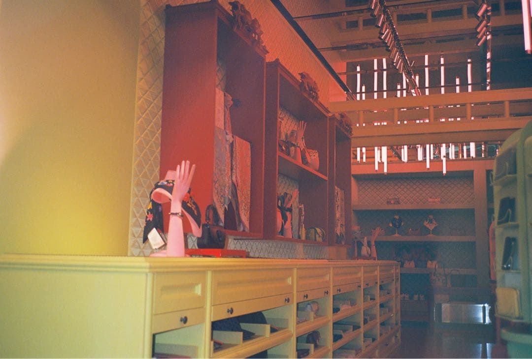 CONTAX TVS 美品 ボディカバー付 ソフトケース付