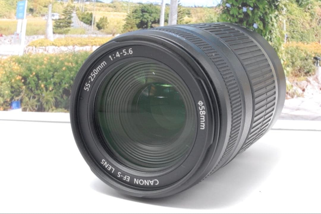 ✨美品✨Canon EF-S 55-250mm IS F4-5.6 望遠レンズ