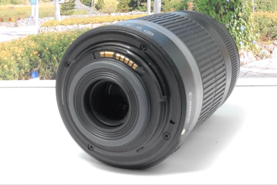 ✨美品✨Canon EF-S 55-250mm IS F4-5.6 望遠レンズ