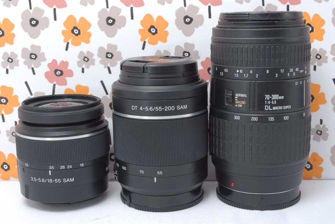 ❤即購入1000円OFF❤SONY α65❤超高画質❤超望遠トリプルレンズ❤