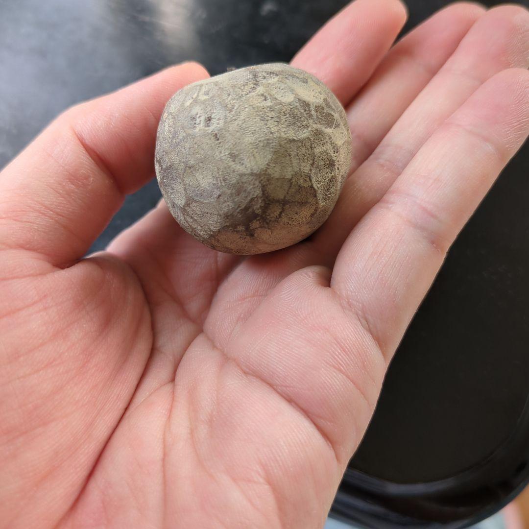 クロヌマタカトシ 林檎 オブジェ