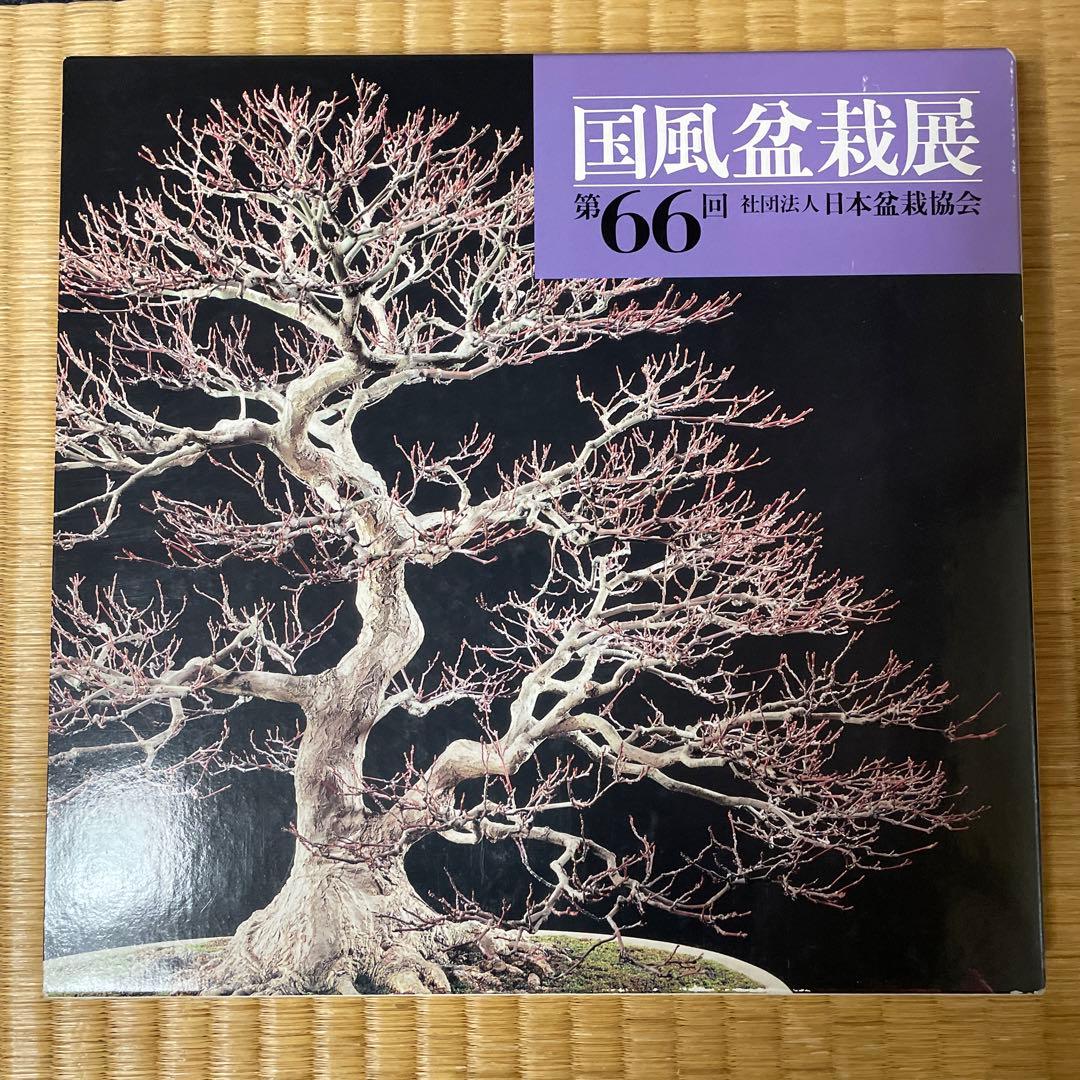 国風盆栽展　6冊セット