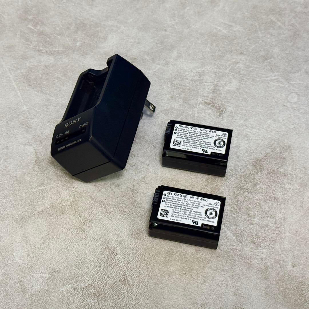 SONY ソニー α7RⅡ ILCE-7RM2 本体 SDカードなどおまけ付き