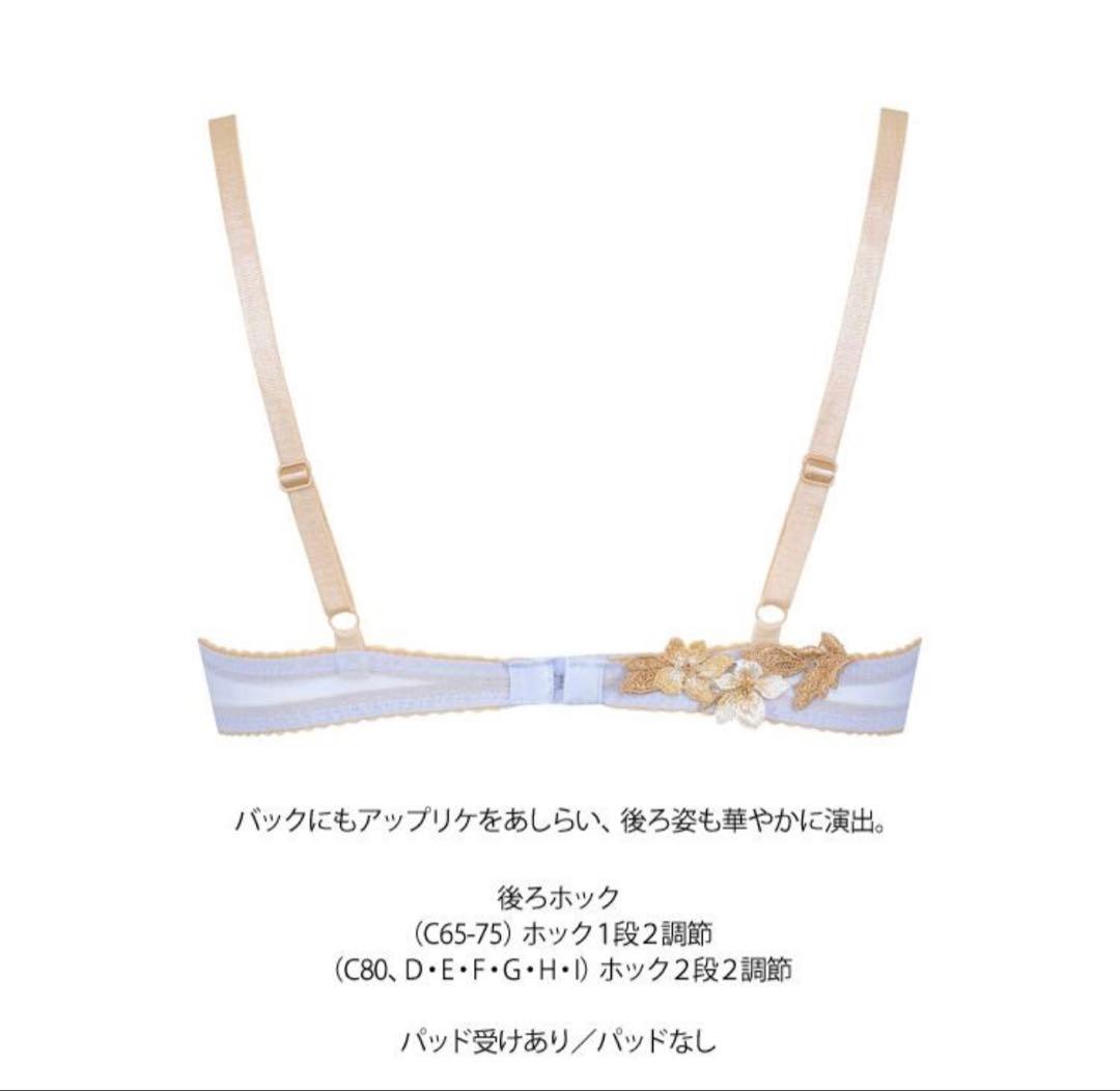 ワコール サルート 02G P-up D70M