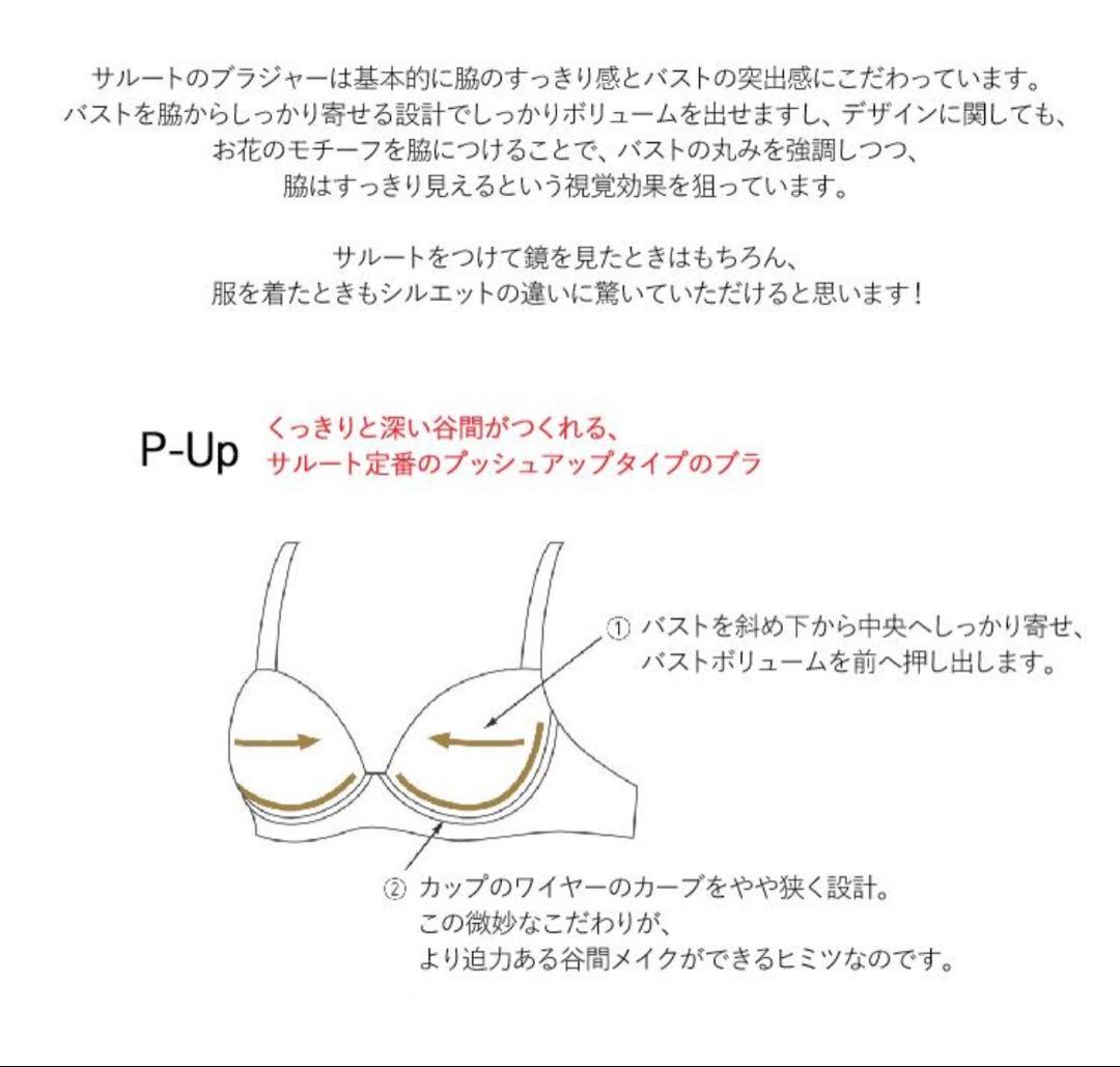 ワコール サルート 02G P-up D70M