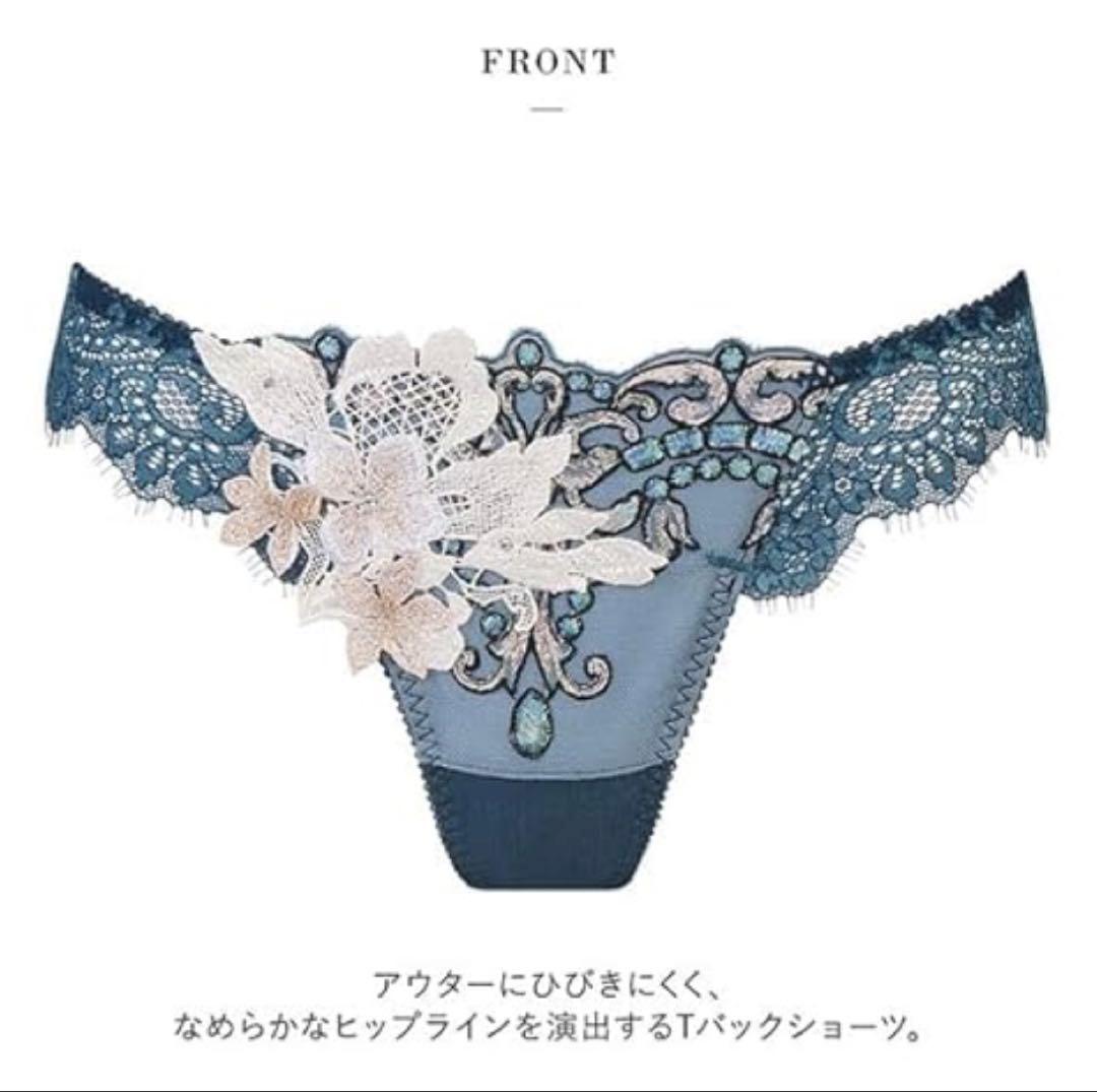 ワコール サルート 02G P-up D70M