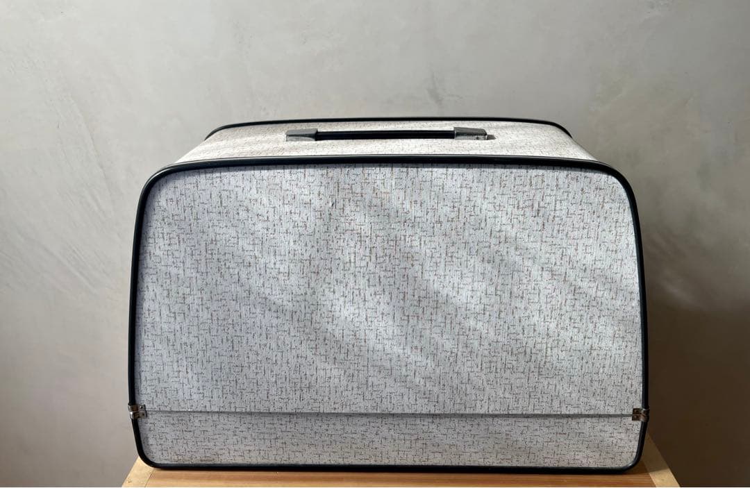 【希少】電動化アンティークミシン RICCAR　ケース入り【動作確認済み】