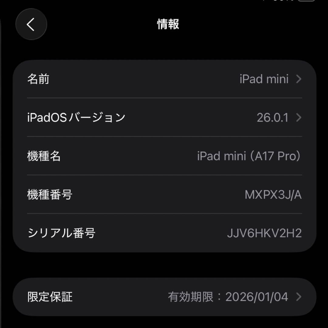 iPad本体 iPad mini (A17 Pro) 256 Wi-Fi + Cellular