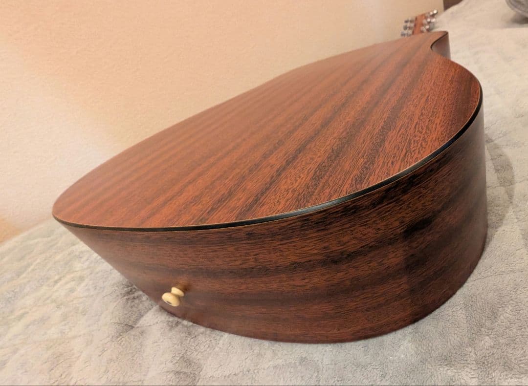 Martin & Co. DXM アコースティックギター マーチン　USA