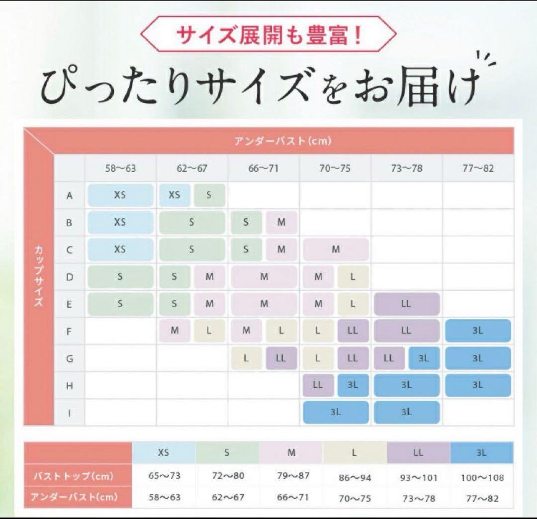 PGブラ　益若つばさ　ナイトブラ　ブラック