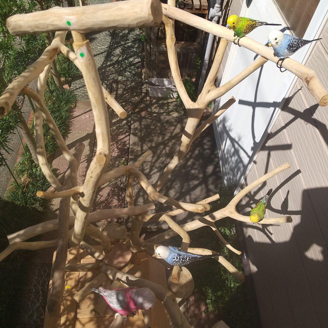 インコバードアスレチック楽園シリーズ③キャスター付きその❷完成品