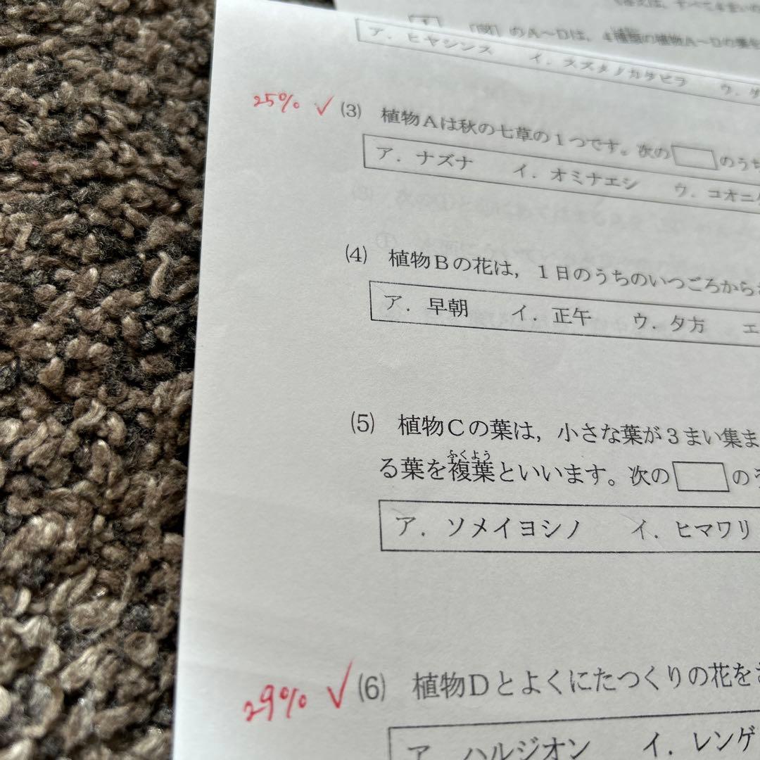 浜学園小4理科 4冊➕確認テスト➕公開学力テスト　2024年発行分