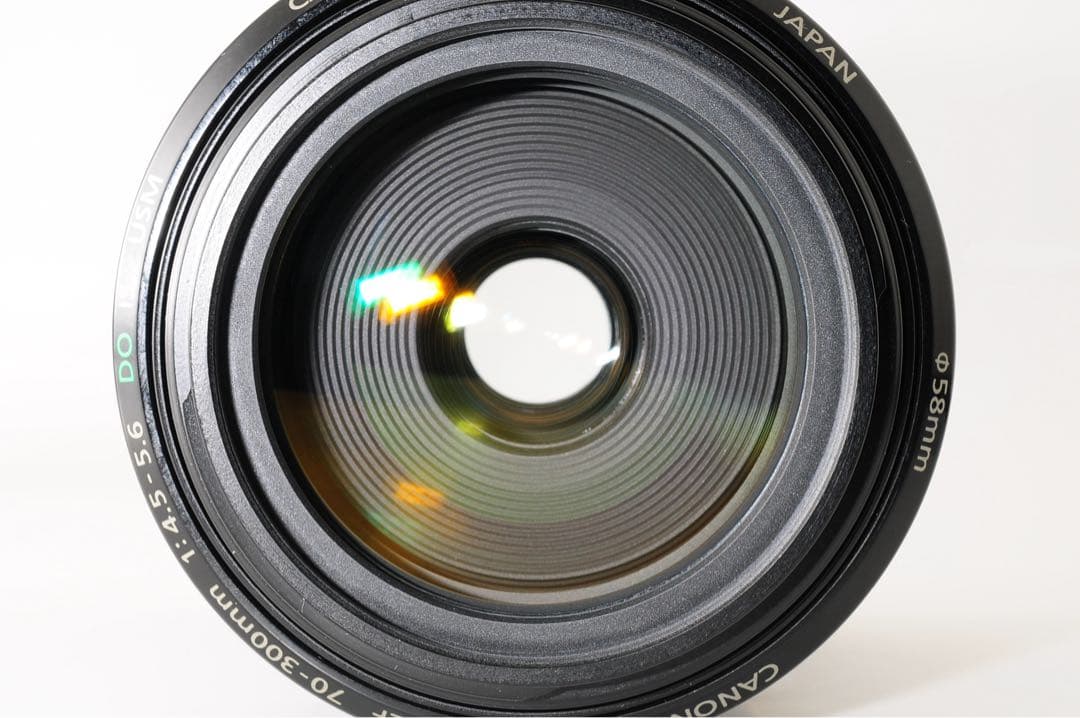 【美品】 Canon EF 70-300mm F4-5.6 DO IS USM