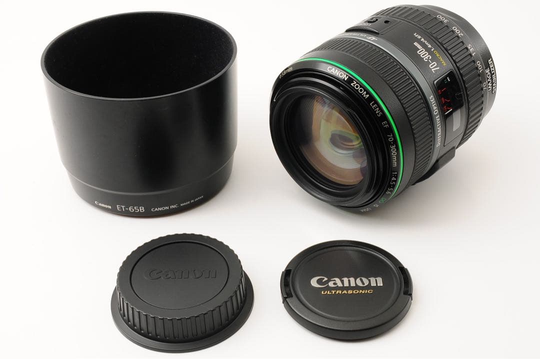 【美品】 Canon EF 70-300mm F4-5.6 DO IS USM