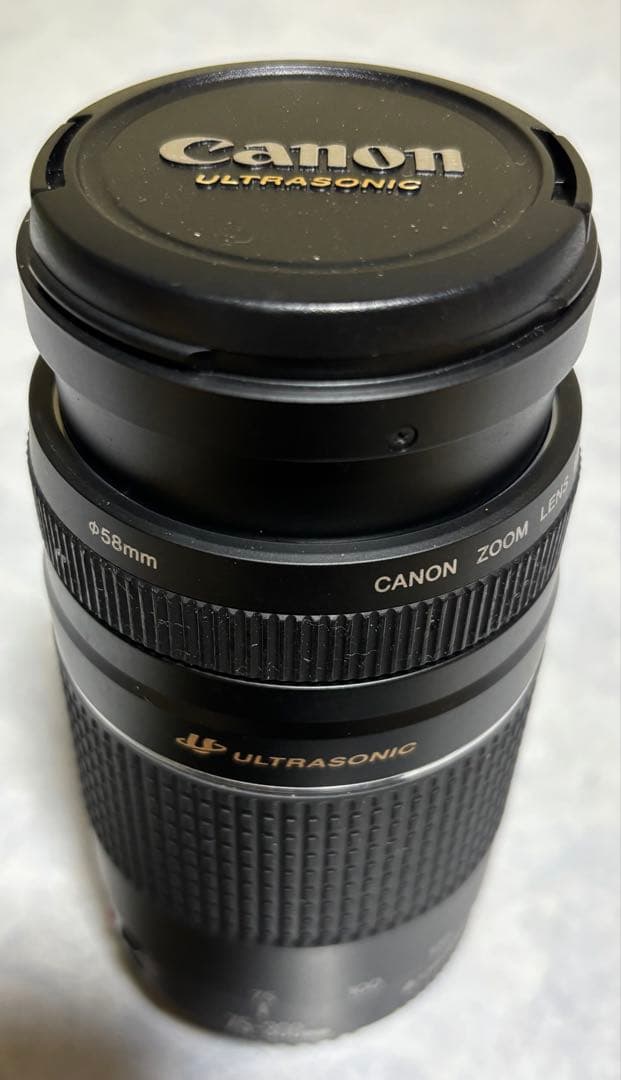 Canon デジタル一眼レフカメラDS126071 レンズセット