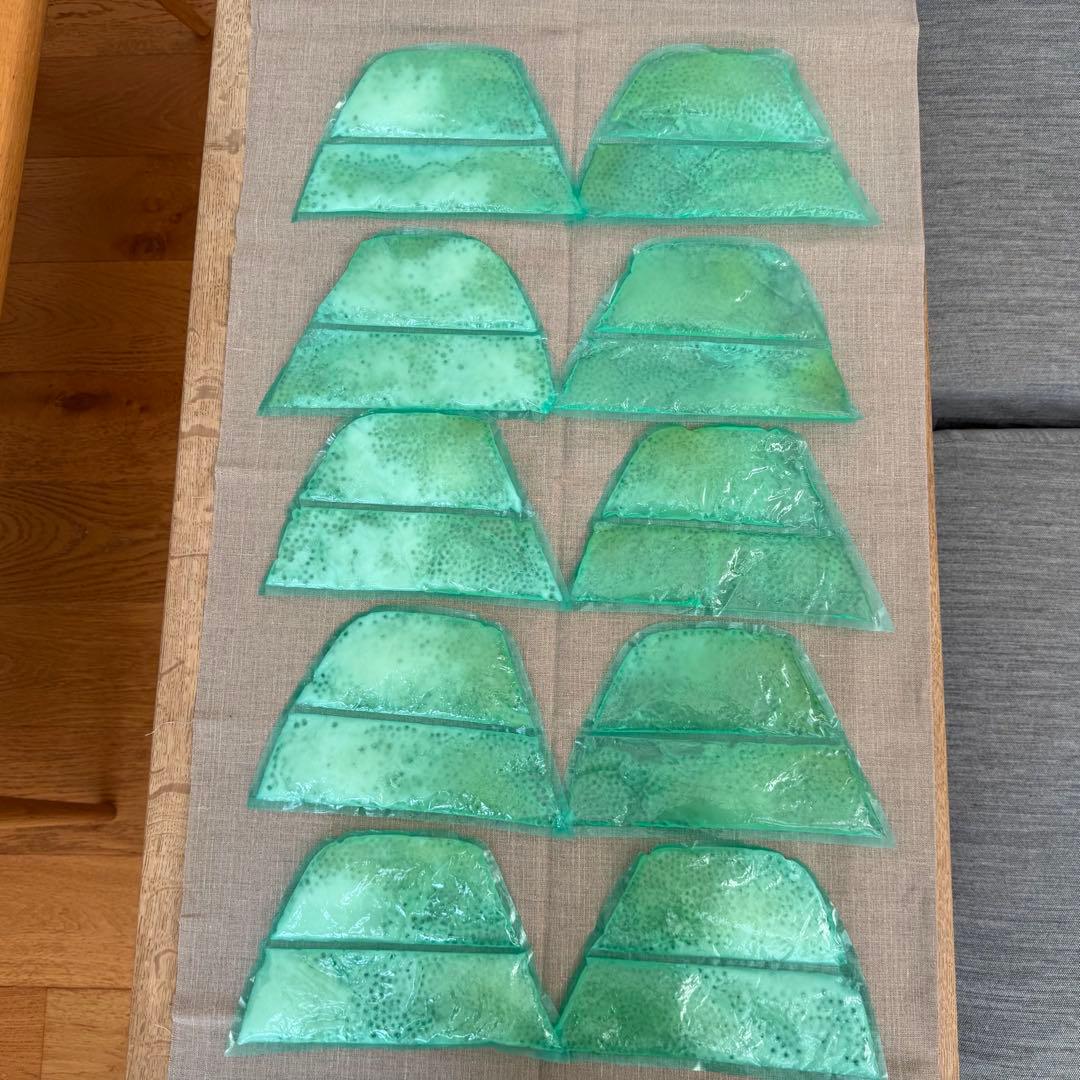 【お値下げしました】愛帽アイスジャパン社頭皮冷却セット¥48000→¥42000