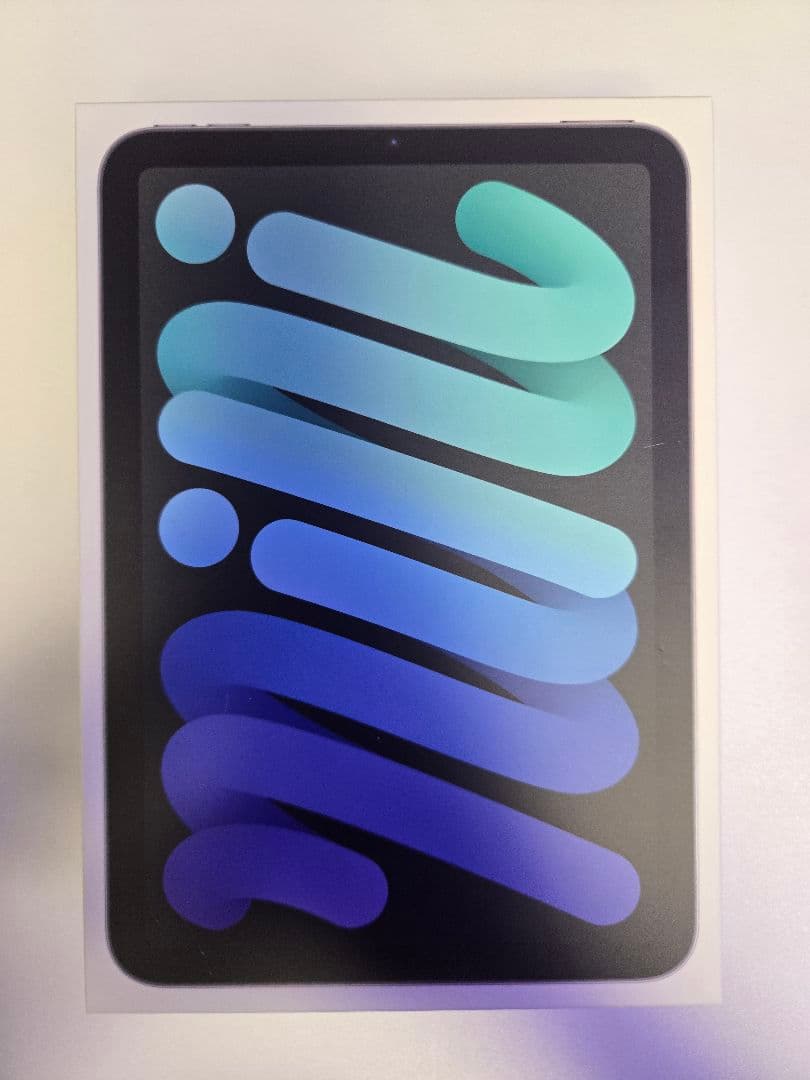 【美品】iPad mini 256GB Wi-Fi+Cellular 第6世代