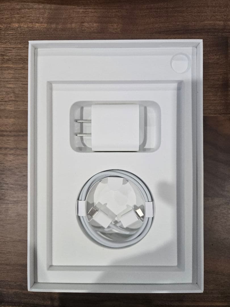 【美品】iPad mini 256GB Wi-Fi+Cellular 第6世代