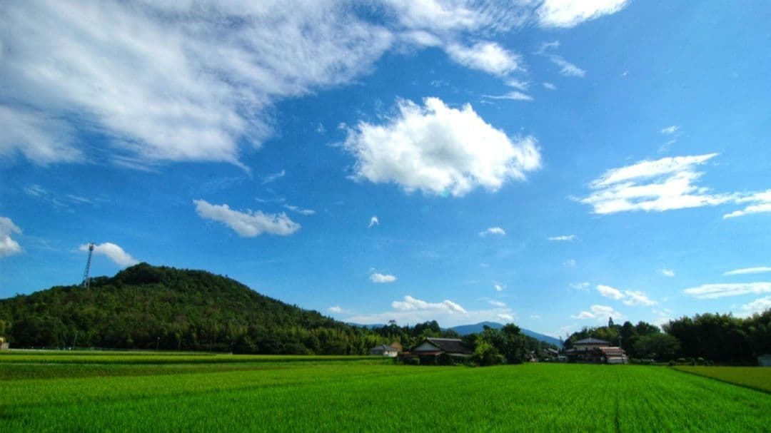 らんみみ様　NIKON　D70⚡️レンズ1本で広角から超望遠まで⚡️ニコン　一眼