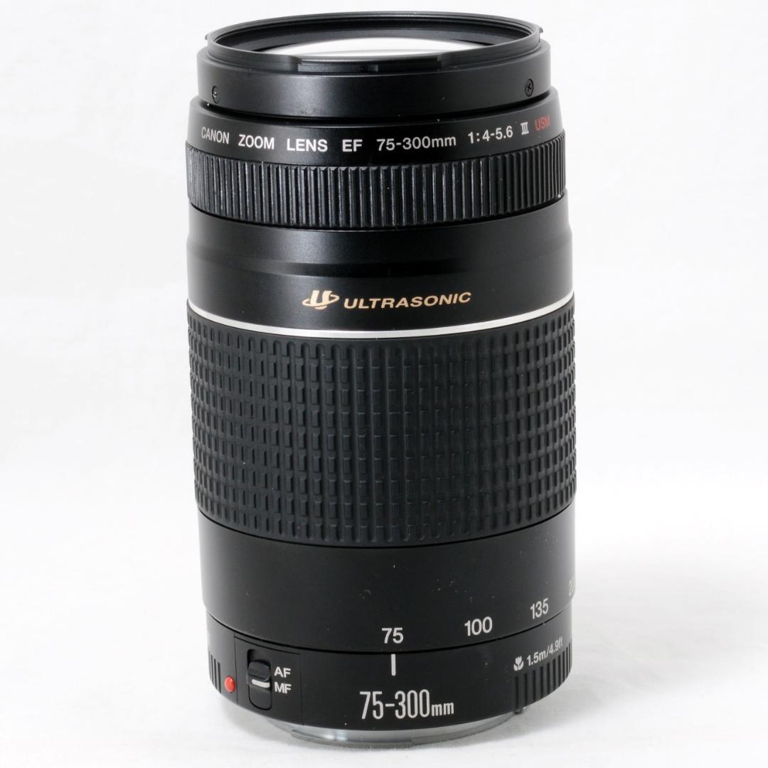 ⭐️実用品⭐️Canon キャノン EF 75-300mm 4-5.6 ⅢUSM