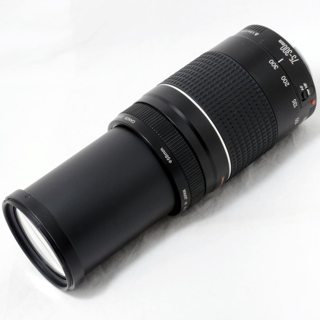 ⭐️実用品⭐️Canon キャノン EF 75-300mm 4-5.6 ⅢUSM