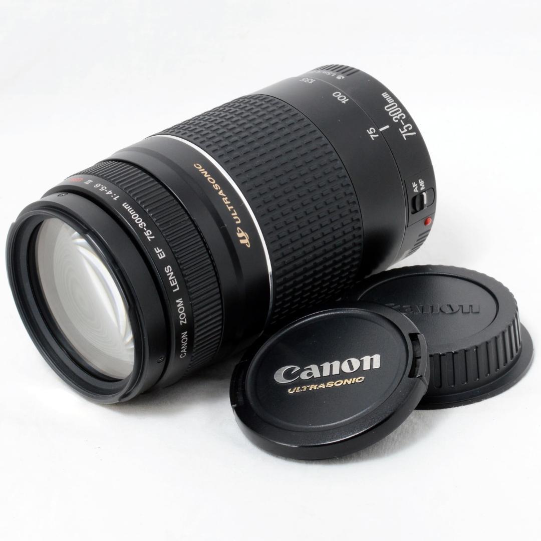 ⭐️実用品⭐️Canon キャノン EF 75-300mm 4-5.6 ⅢUSM