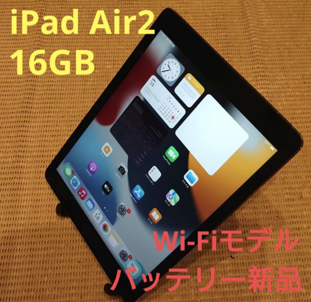 NG5VJ 完動品iPad Air2(A1566)本体16GBグレイ送料込