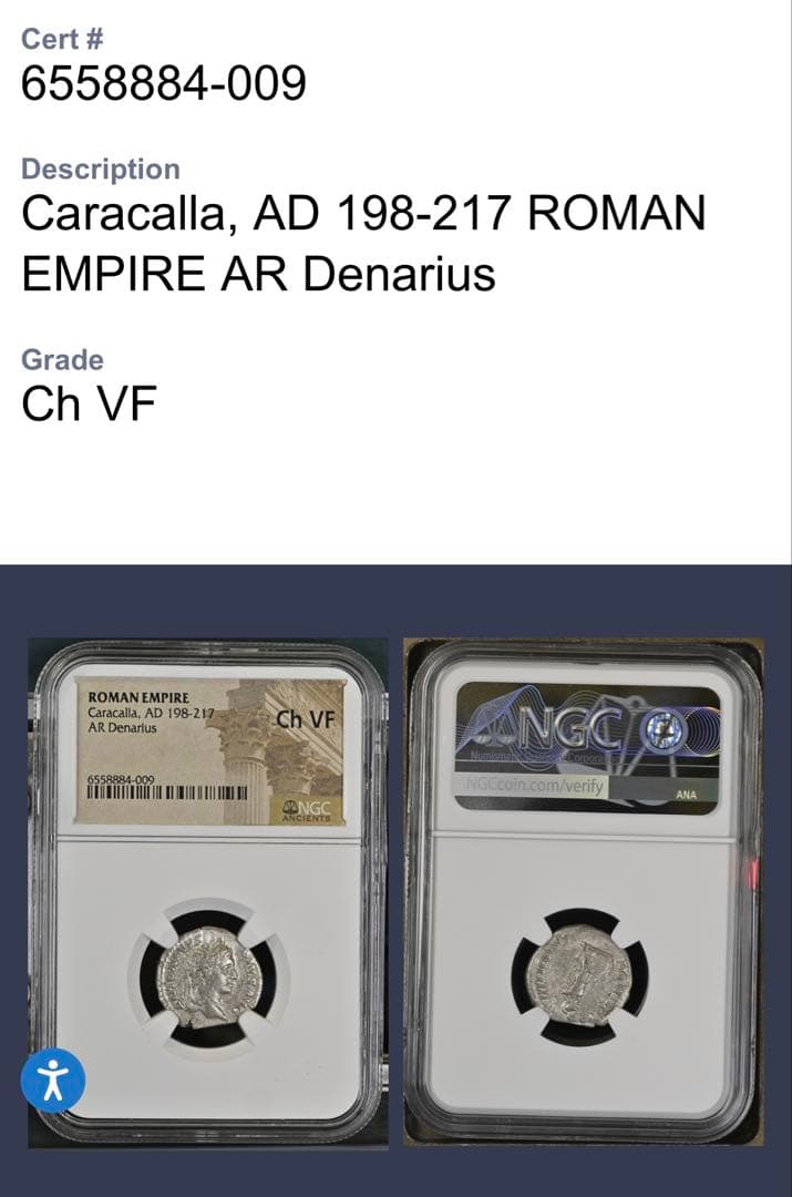 【最終値下げ】ローマ帝国 カラカラ ARデナリウス NGC鑑定付き