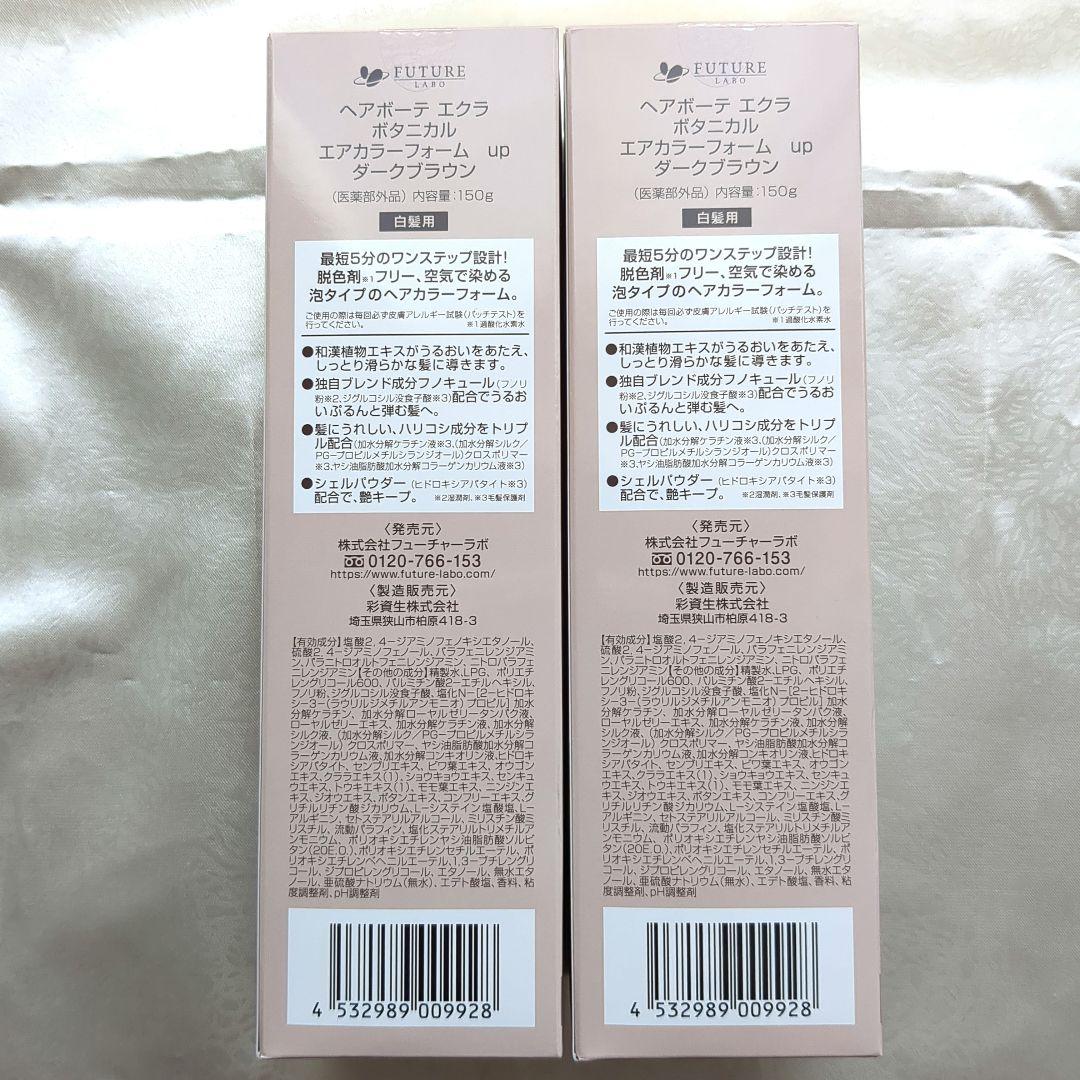 ヘアボーテエクラ　ボタニカル　エアカラーフォームup 150g×2本