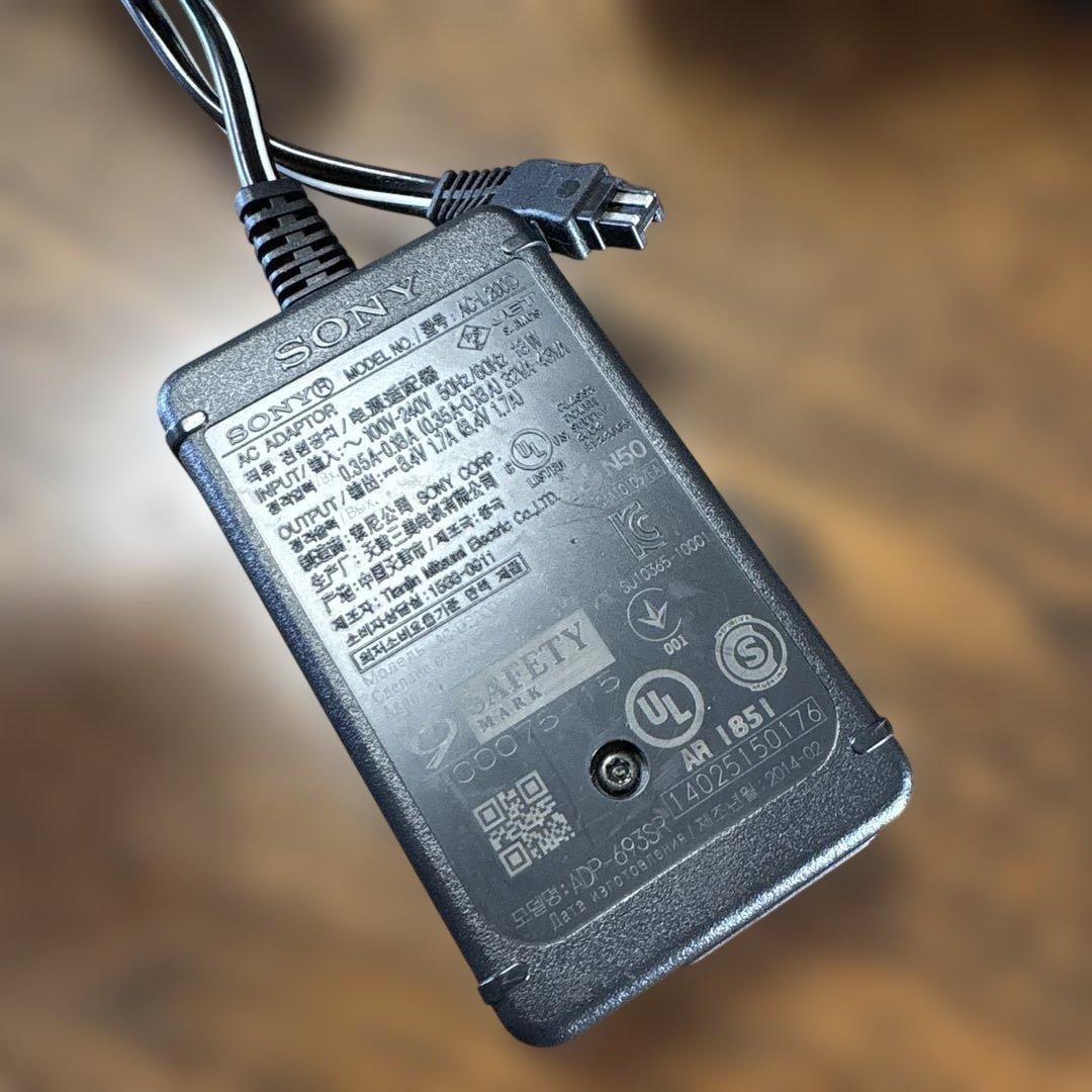 SONY 4K Handycam 本体 FDR-AX100