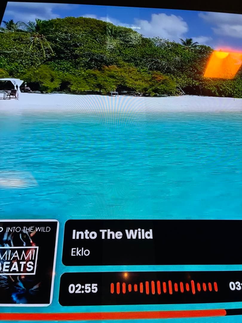 ジャンク扱い 東芝　REGZA 65X8900K 有機EL 4K 2021年製