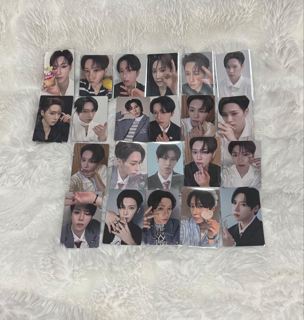 ジアハオ　アルノ　トレカ