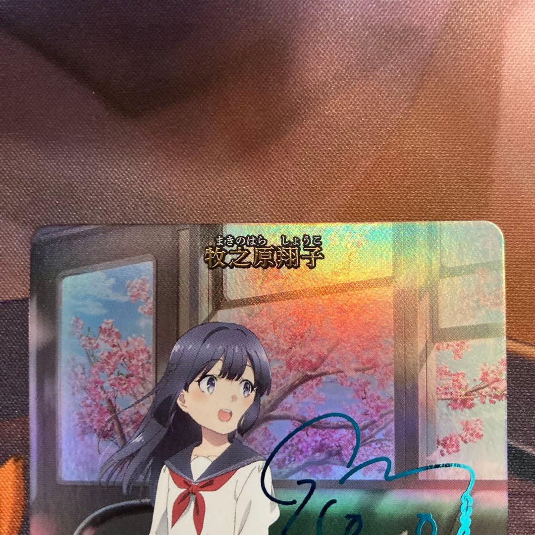 ビルディバイド 青春ブタ野郎 BT 牧之原翔子