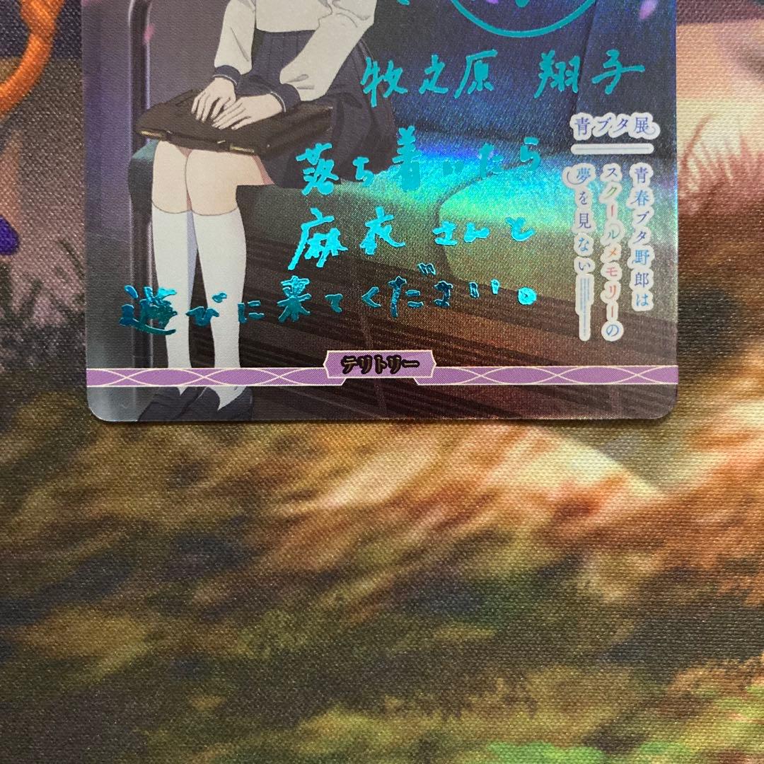 ビルディバイド 青春ブタ野郎 BT 牧之原翔子