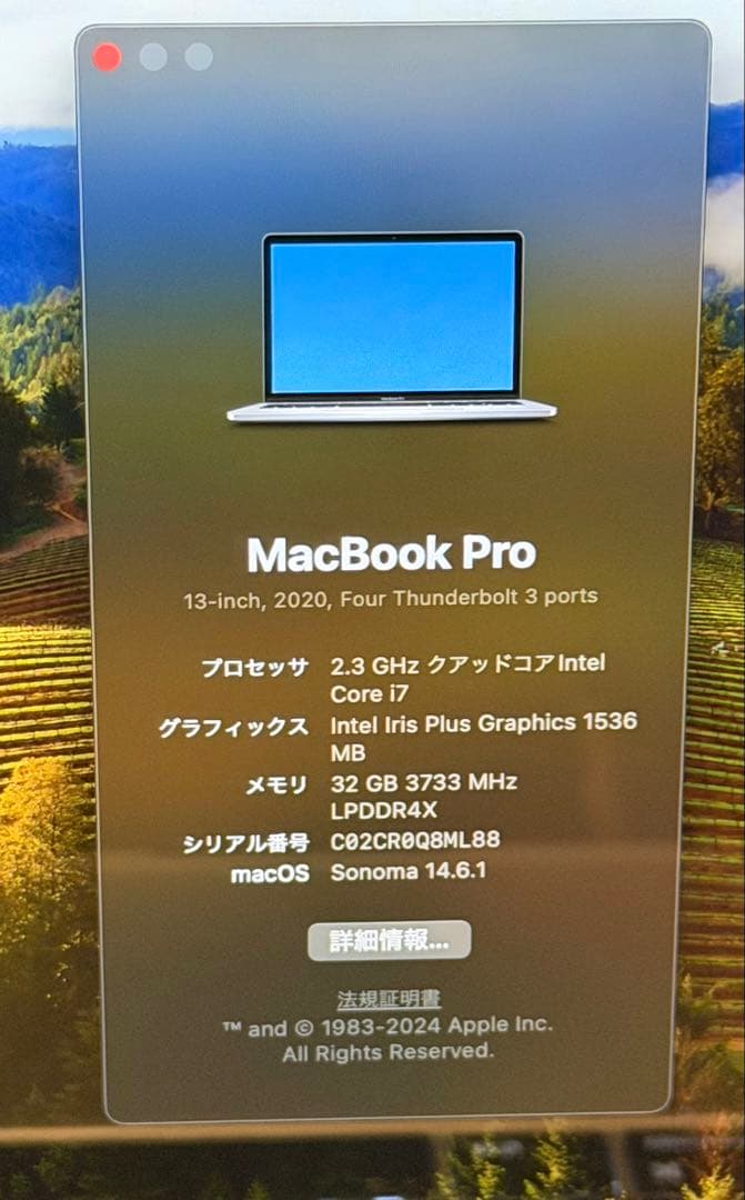 MacBook本体 Apple MacBook Pro2020 32GB 4TB SSD