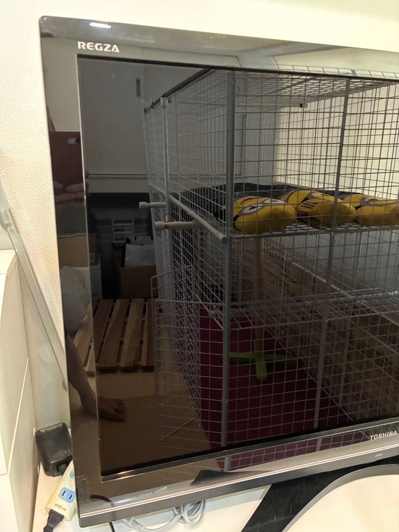 テレビ REGZA TOSHIBA 42Z9000