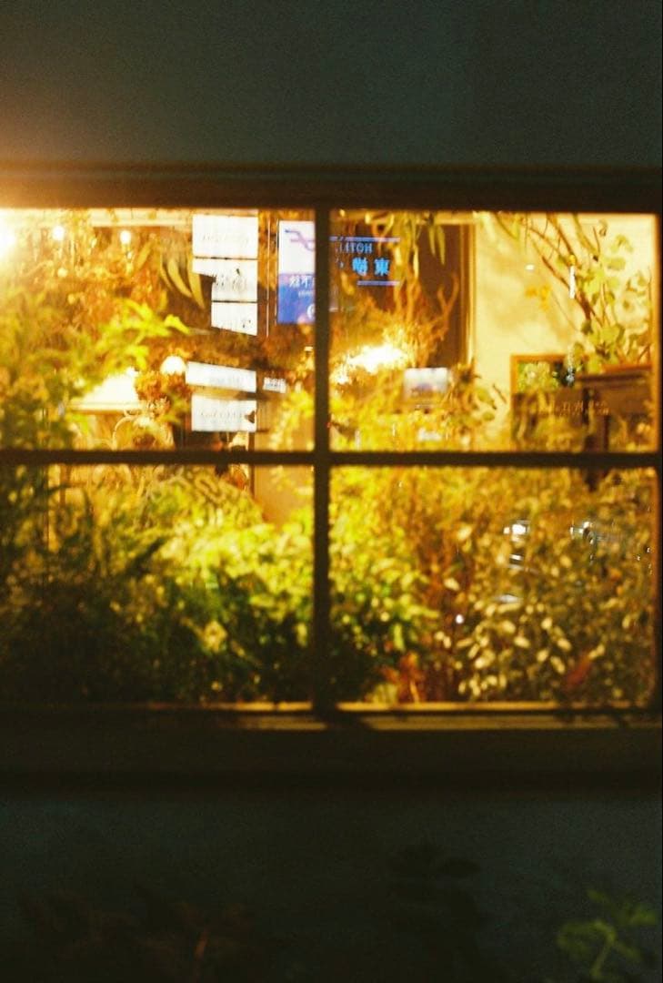 ニコン Nikon F3 HP Ai NIKKOR 50mm F1.4 作例あり