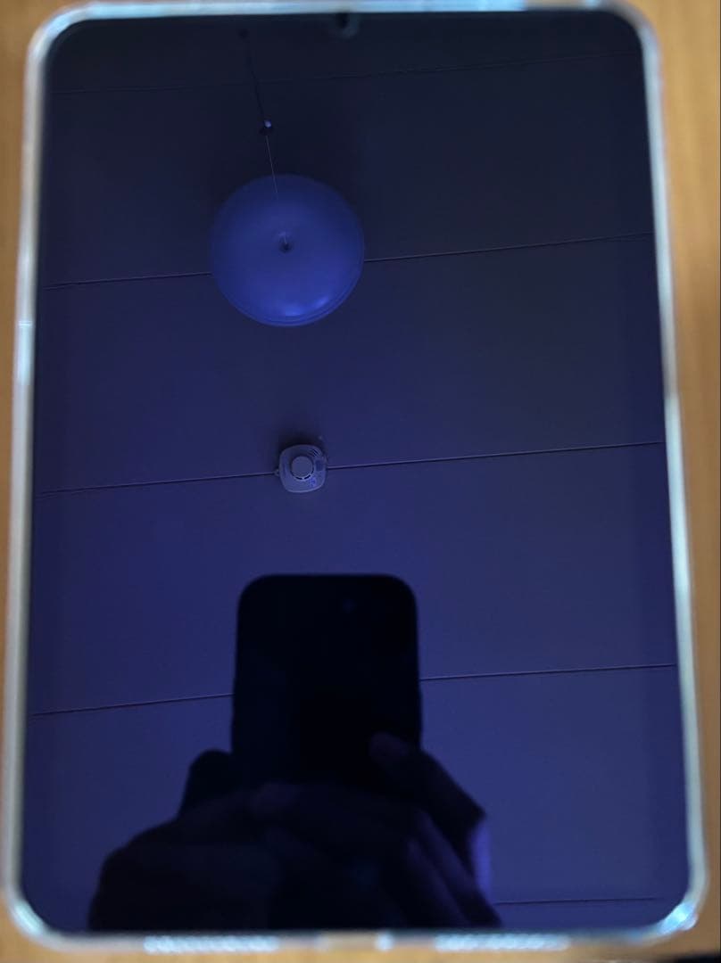 充放電回数11回iPad mini A17 Pro（第7世代） Wifiモデル