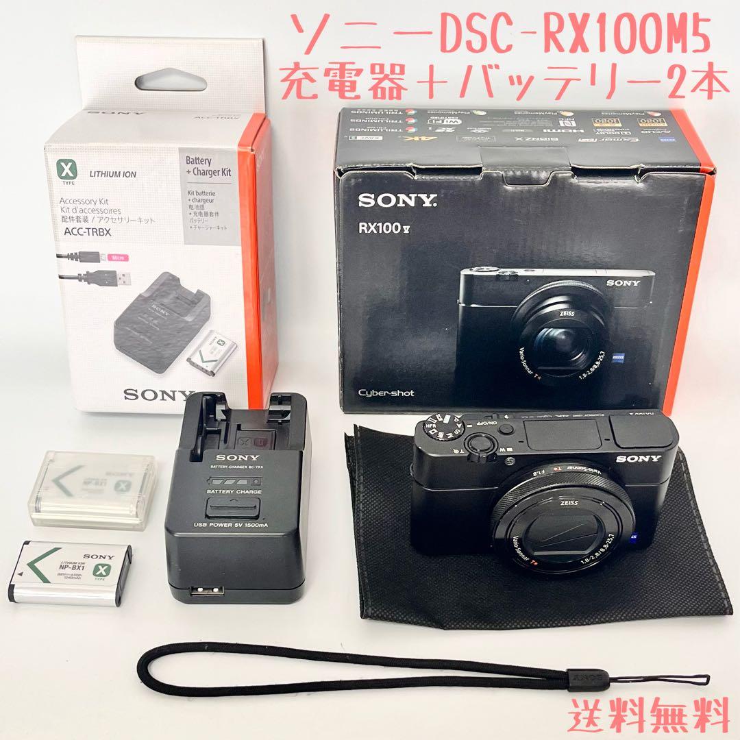キ*ん様 SONYサイバーショットDSC-RX100M5 純正充電器バッテリー