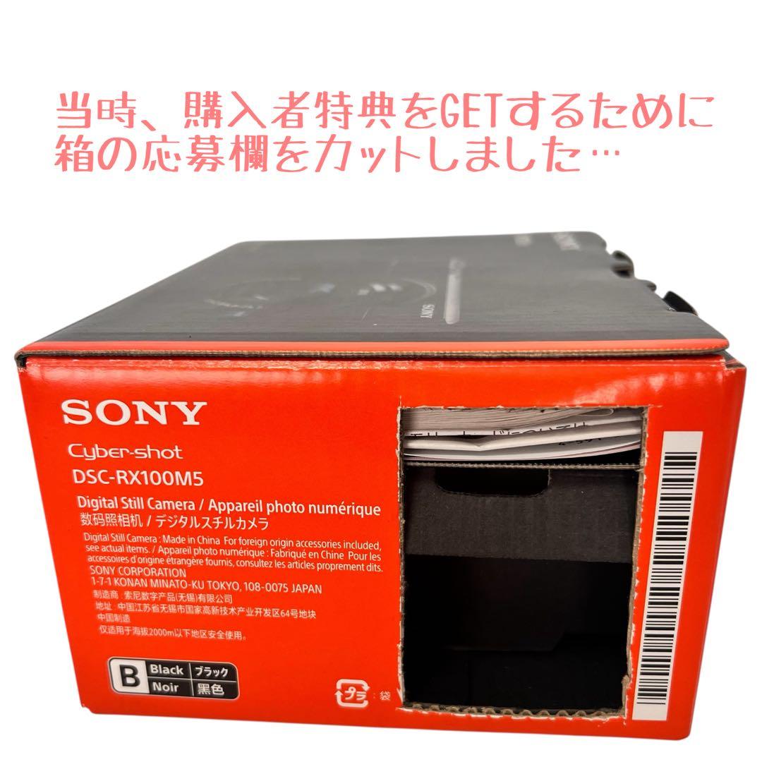 キ*ん様 SONYサイバーショットDSC-RX100M5 純正充電器バッテリー