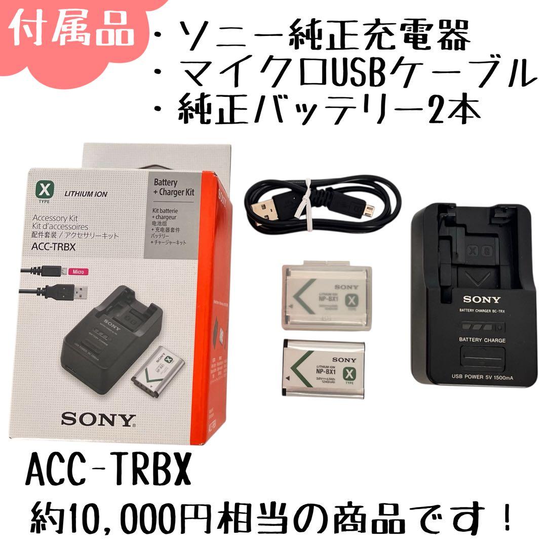 キ*ん様 SONYサイバーショットDSC-RX100M5 純正充電器バッテリー