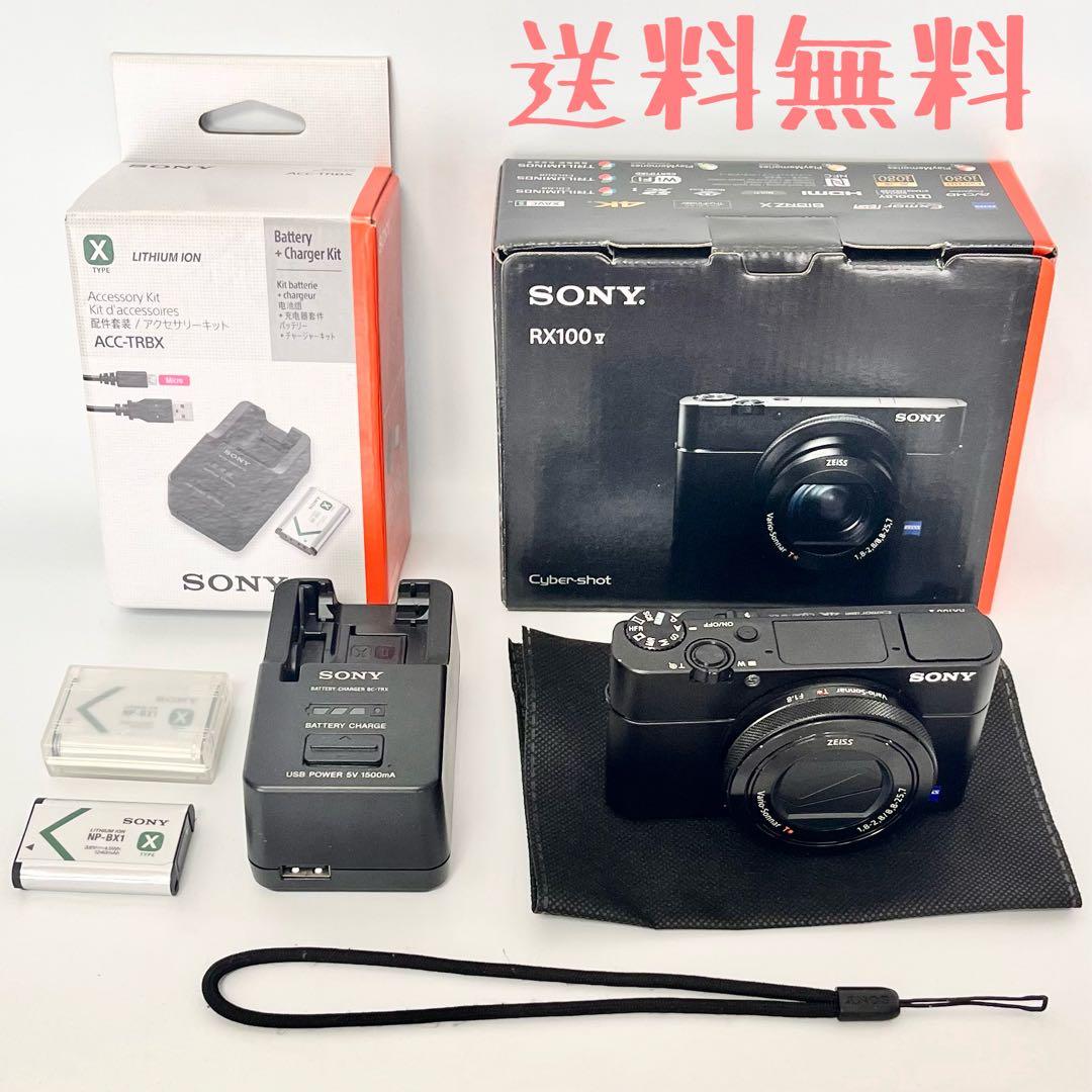 キ*ん様 SONYサイバーショットDSC-RX100M5 純正充電器バッテリー