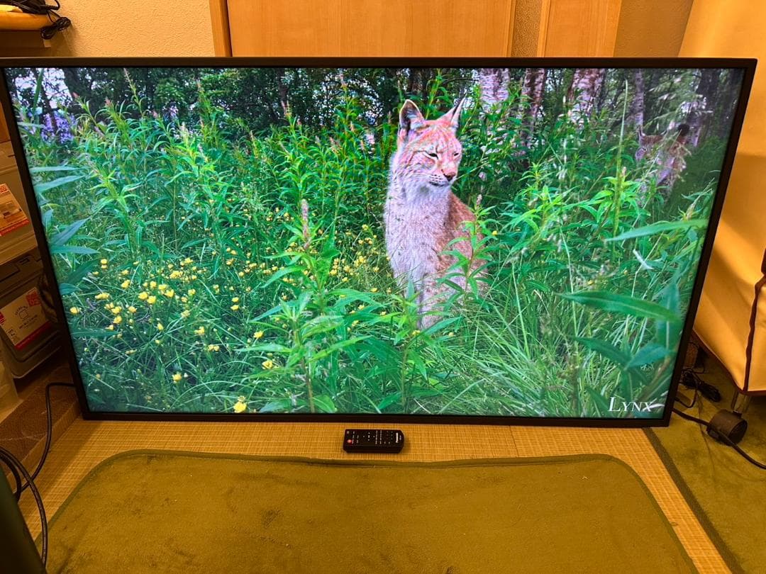 極美品！Panasonic　パナソニック 48型 モニター　TH-48LFE8J