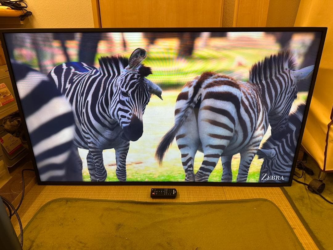 極美品！Panasonic　パナソニック 48型 モニター　TH-48LFE8J