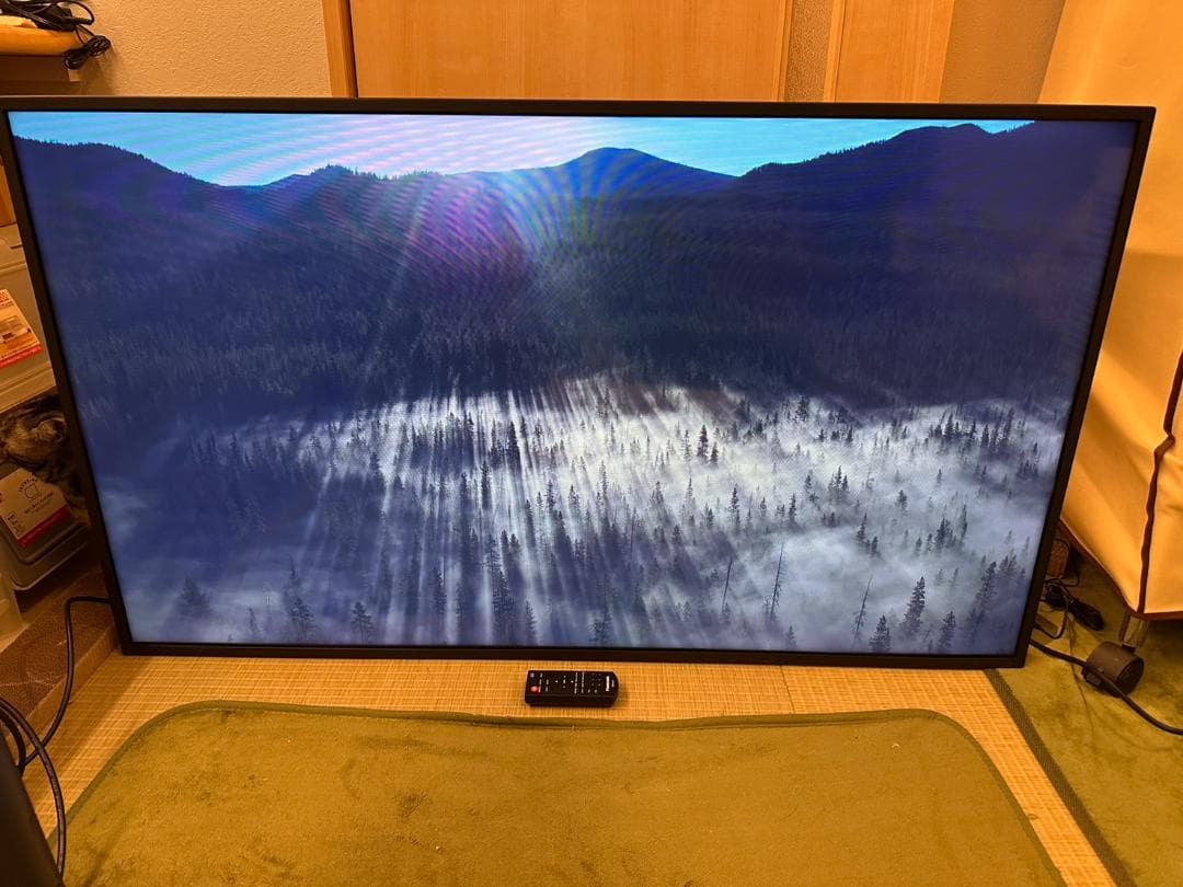 極美品！Panasonic　パナソニック 48型 モニター　TH-48LFE8J