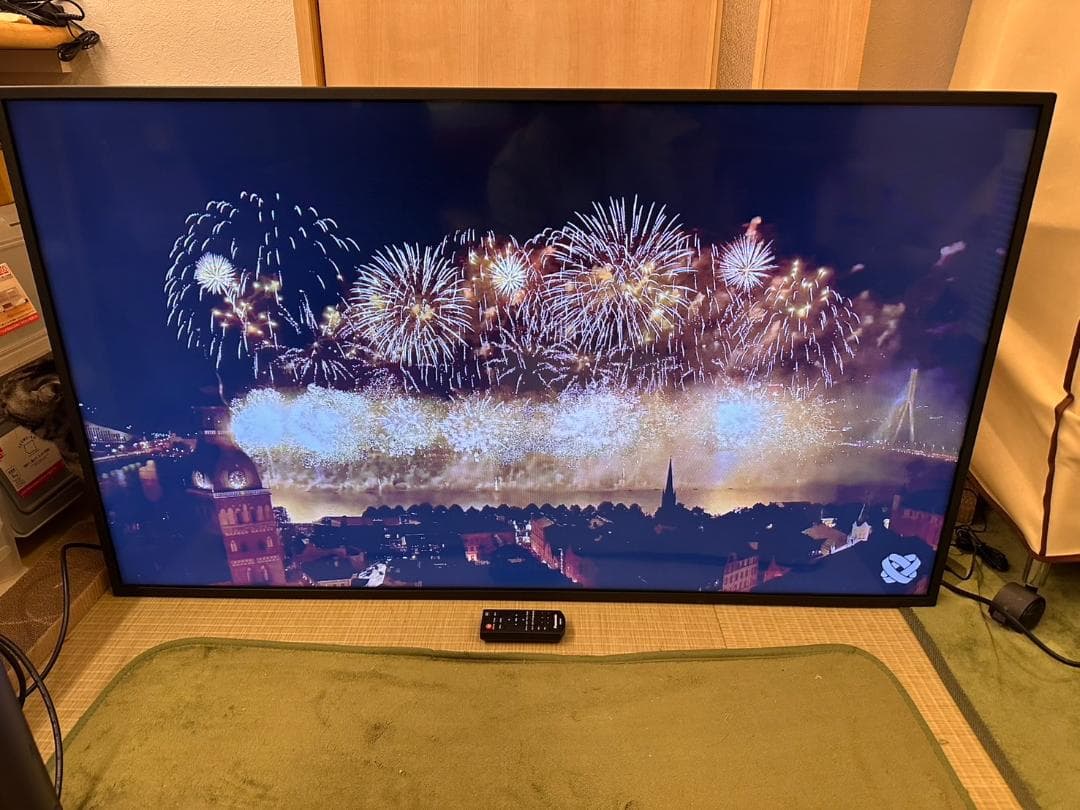 極美品！Panasonic　パナソニック 48型 モニター　TH-48LFE8J